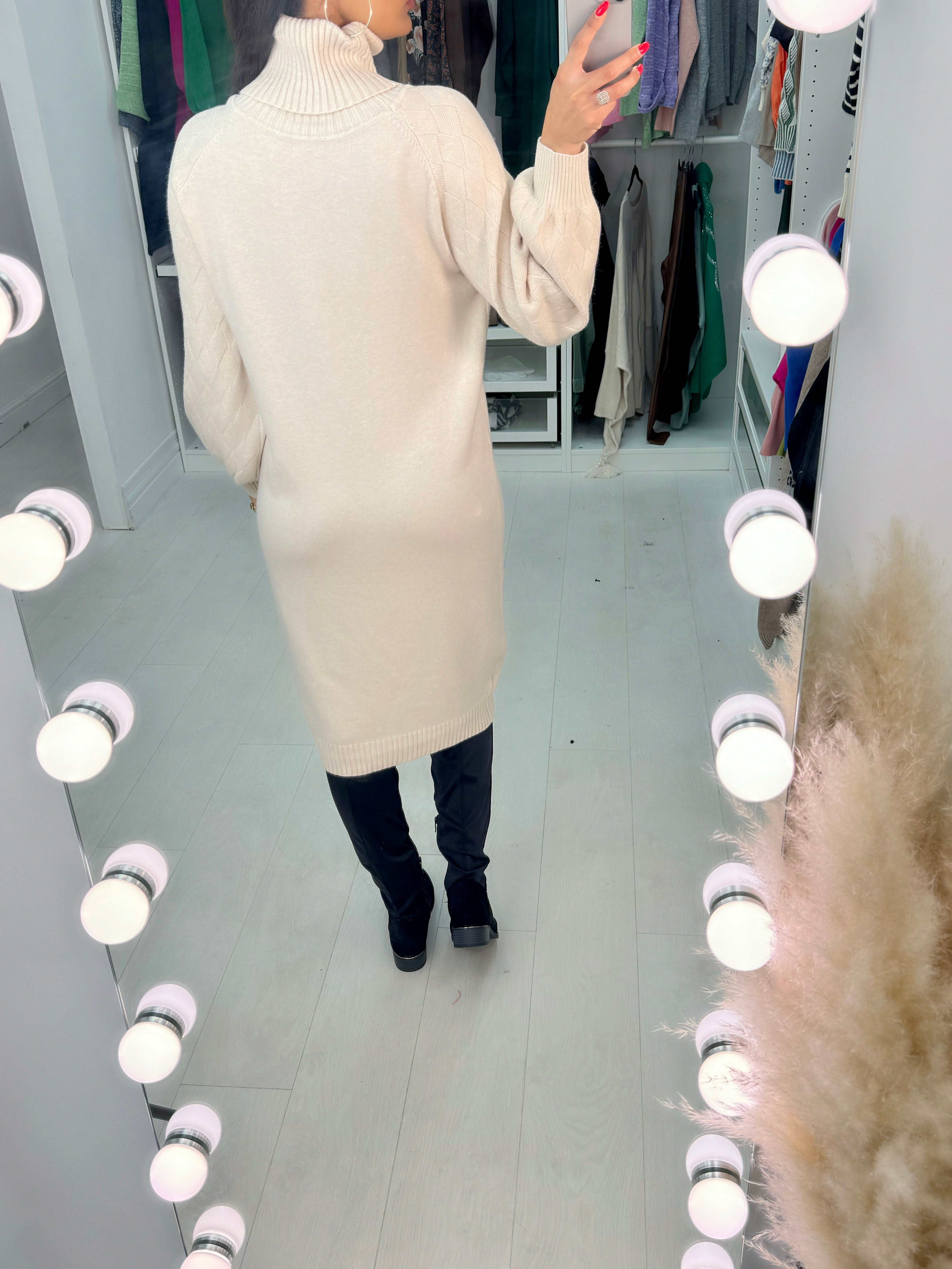 Aleesha Ribbed Roll Neck Knitted Jumper Dress