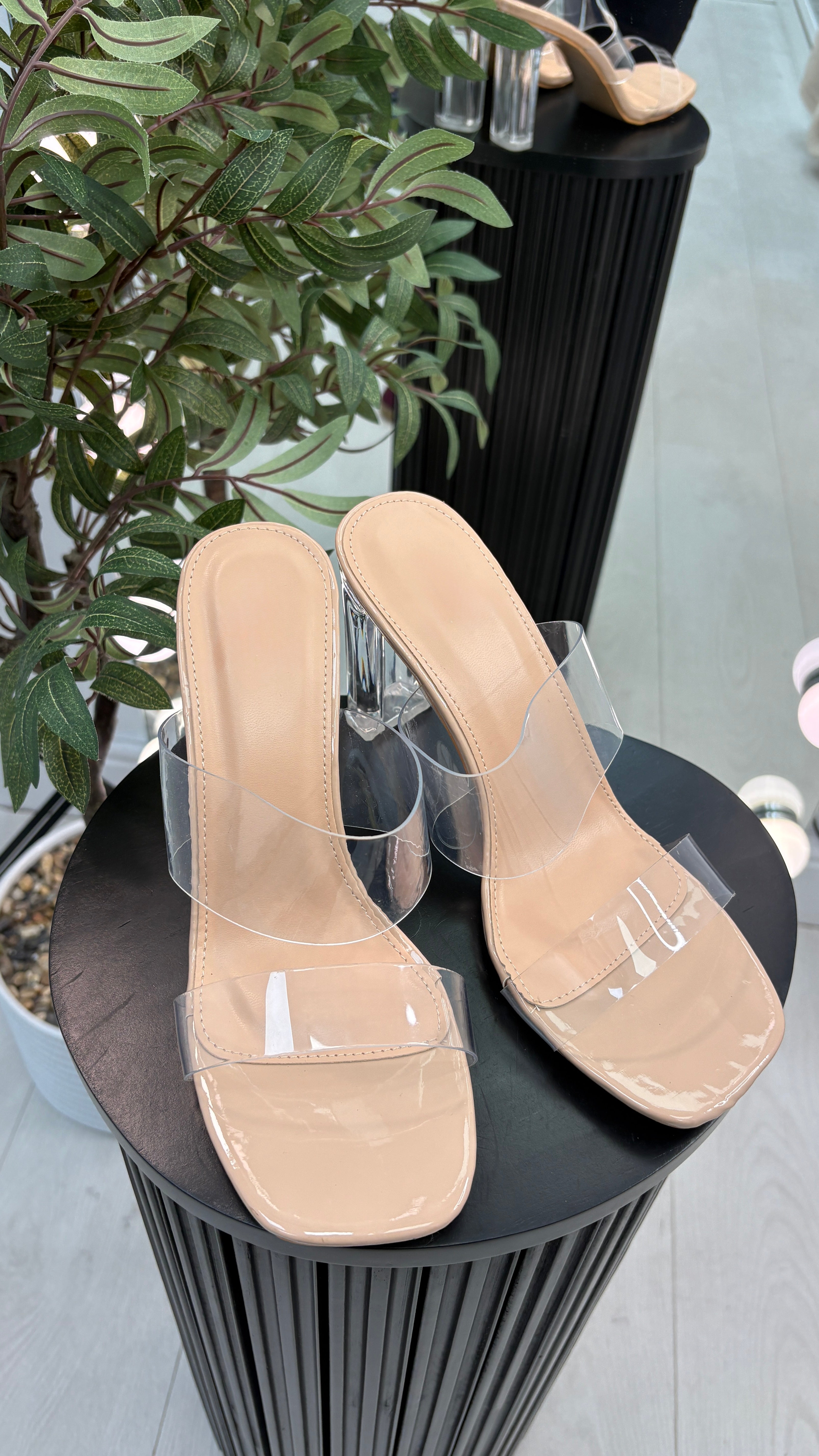 Rayah Nude Transparent Strap Block Heel Shoes