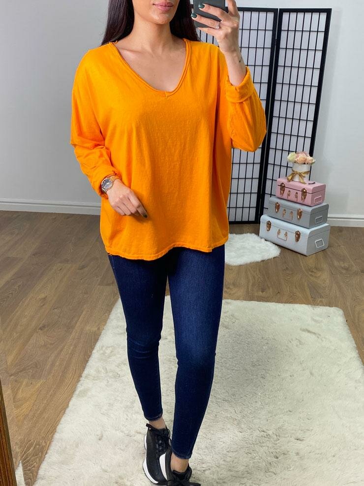 Edie Plain V Neck Long Sleeve Basic Top