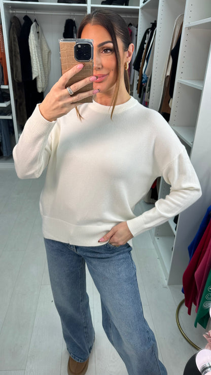 Eloisa Plain Super Soft Knit Jumper