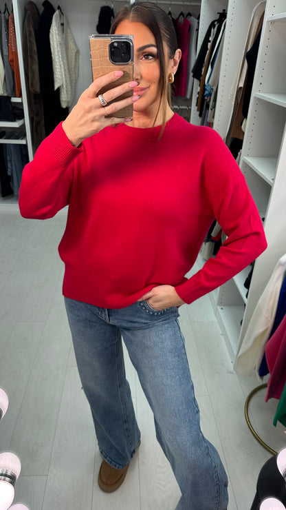 Eloisa Plain Super Soft Knit Jumper