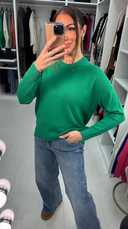 Eloisa Plain Super Soft Knit Jumper