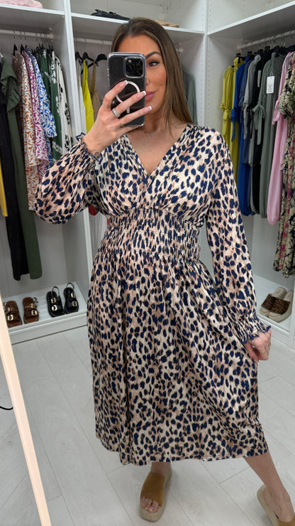 Amberly Leopard Print V Neck Magic Dress