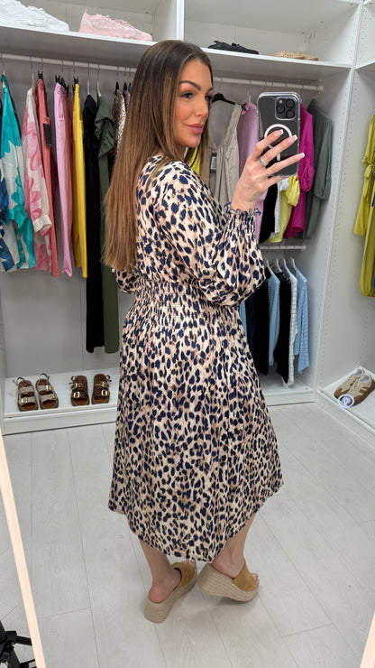 Amberly Leopard Print V Neck Magic Dress