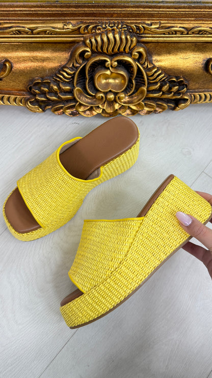 Albertina Woven Platform Mules
