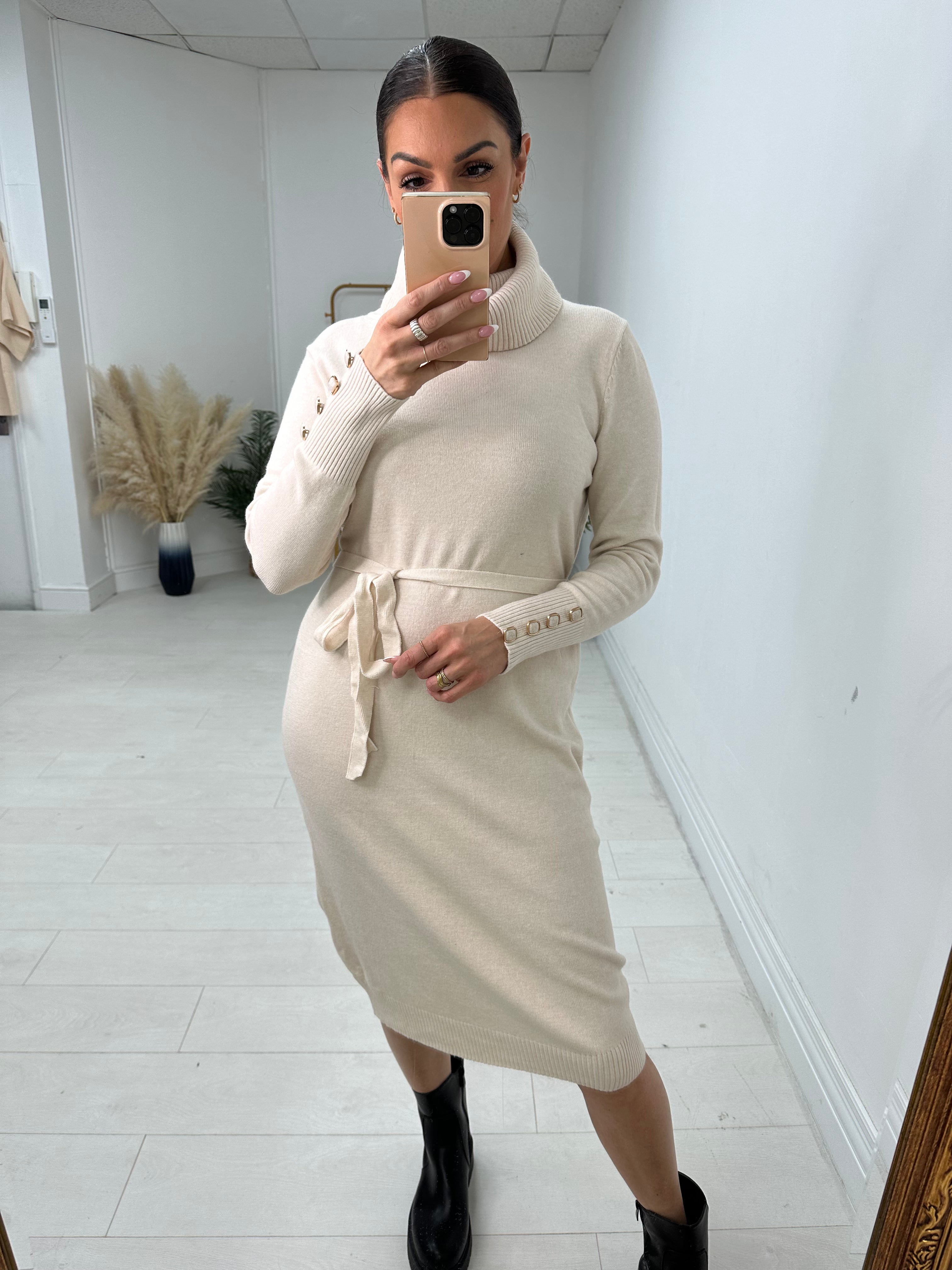 Chevelle Roll Neck Jumper Dress