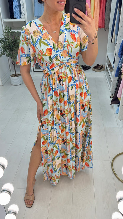 Alica Abstract Print V Neck Floaty Maxi Dress