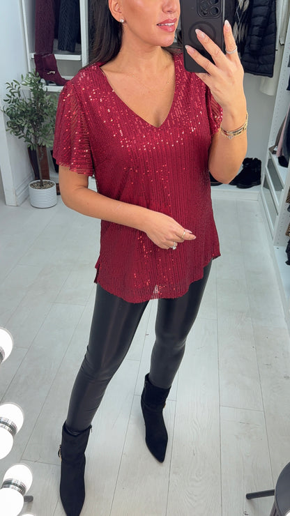 Nilah Sequin Embellished V Neck Top