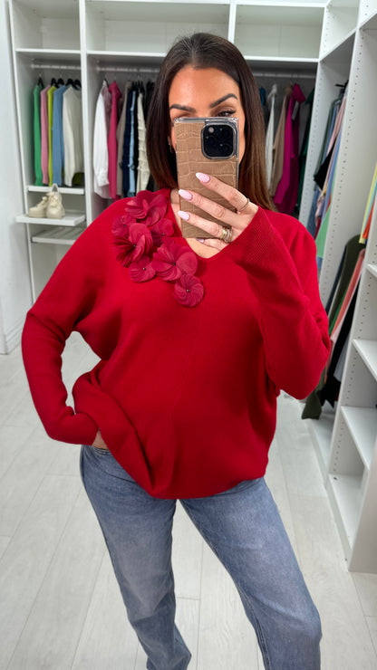 Kally Floral Detail V Neck Knit Jumper