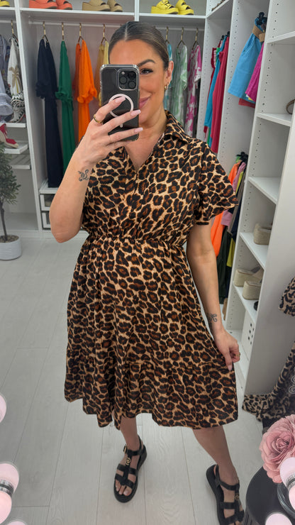 Joline Leopard Print V Neck Midi Dress