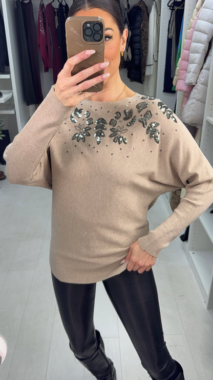 Cailin Sequin Detail Ribbed Knit Jumper