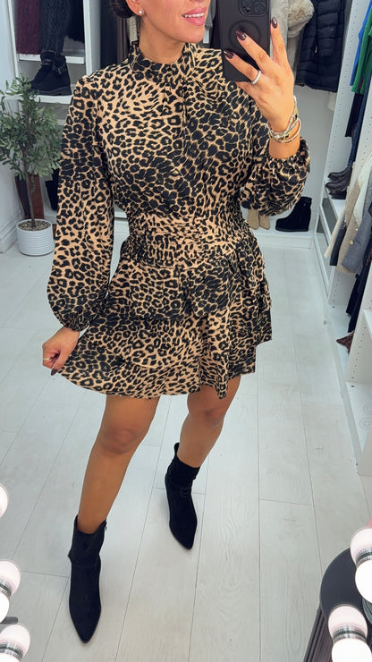 Tanisha Cheetah Print Shirred Waist Mini Dress