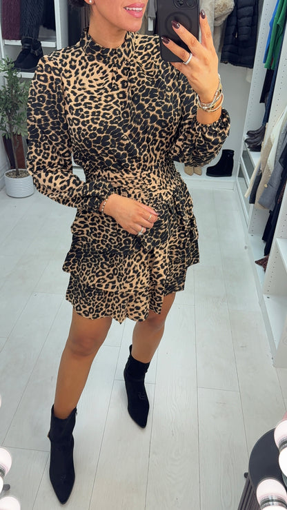 Tanisha Cheetah Print Shirred Waist Mini Dress