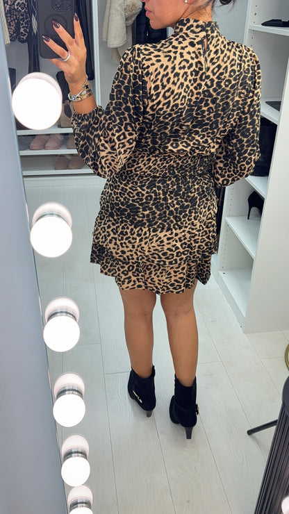 Tanisha Cheetah Print Shirred Waist Mini Dress