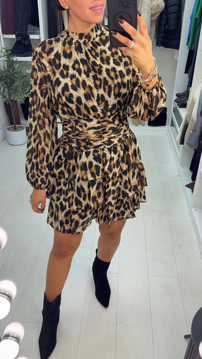 Kamie Leopard Print Shirred Waist Mini Dress