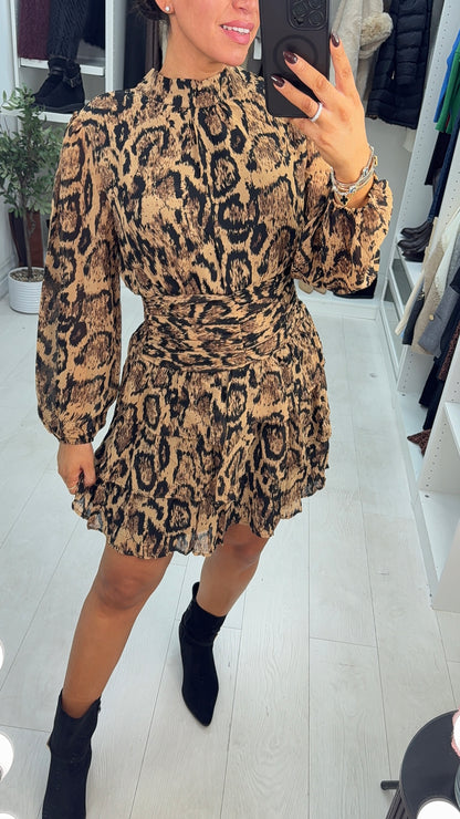 Jolice Animal Print Shirred Waist Mini Dress