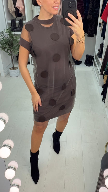 Cammie Polka Dot Mesh Overlay Jumper Dress