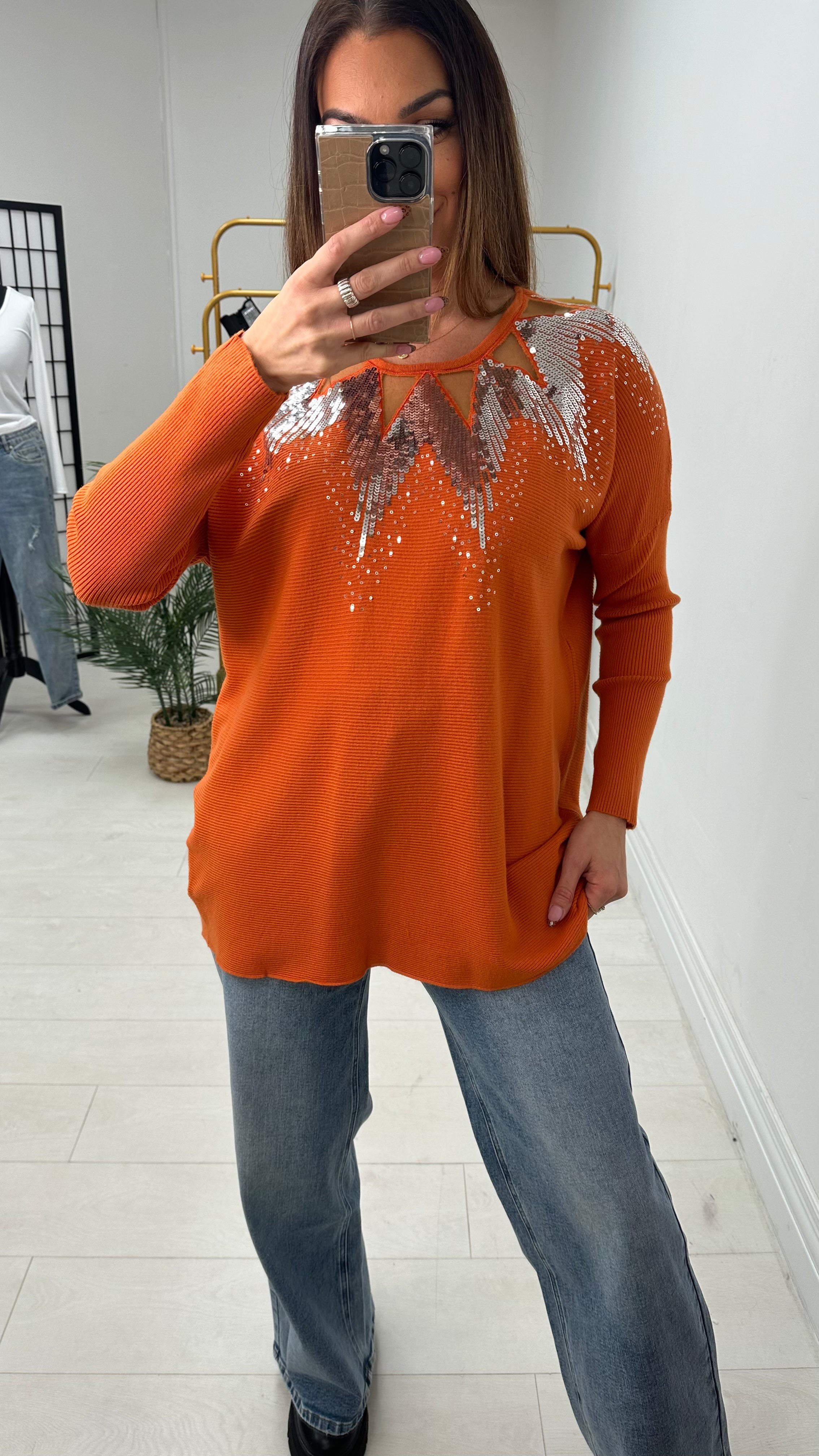 Mckenzie Sheer Panel Sequin Detail Knit Jumper