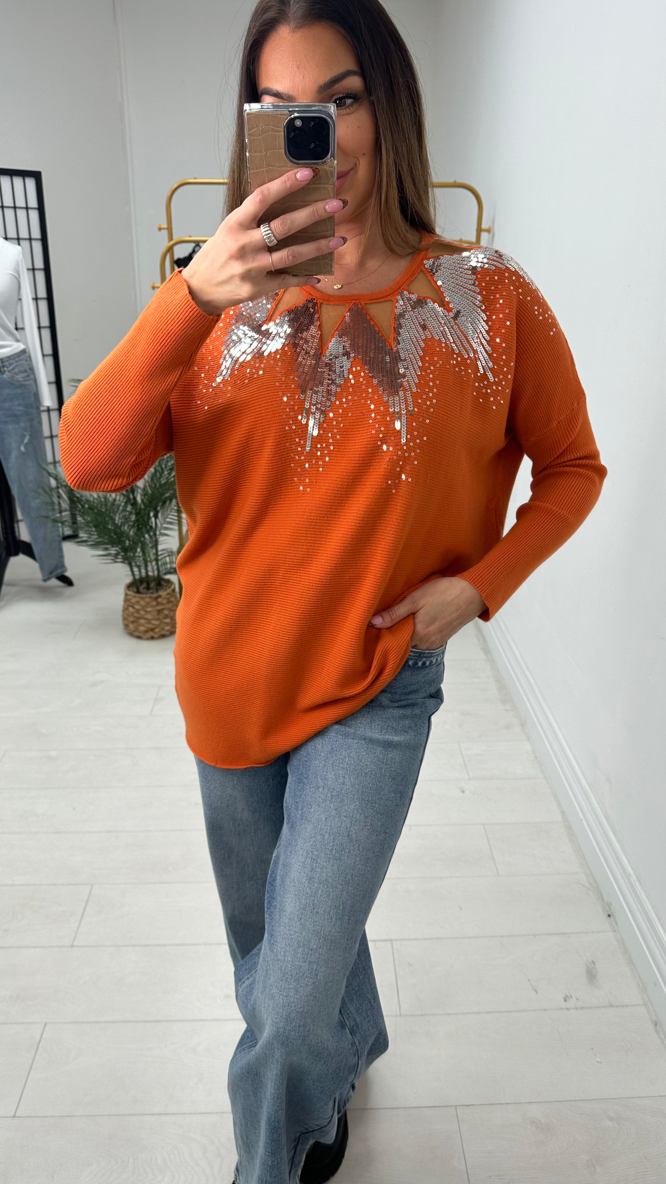 Mckenzie Sheer Panel Sequin Detail Knit Jumper