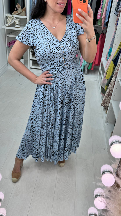 Marya Cheetah Ruched Waist Maxi Dress