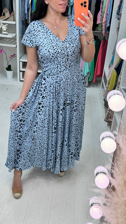 Marya Cheetah Ruched Waist Maxi Dress