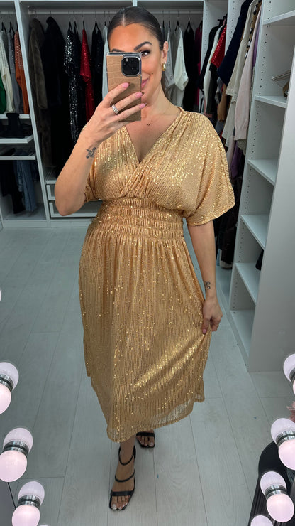 Tasmin Sequin Shirred Waist Midi Dress