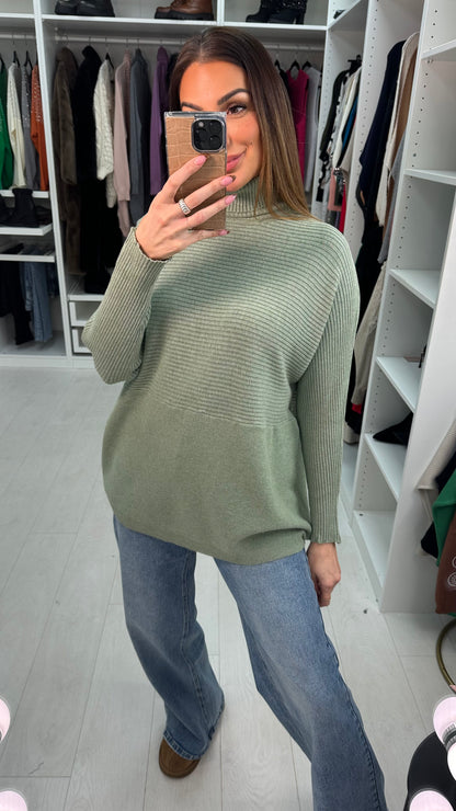 Sabrina Plain Ribbed Roll Neck Jumper