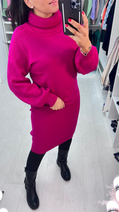 Aleesha Ribbed Roll Neck Knitted Jumper Dress