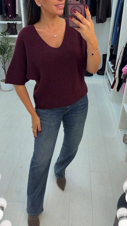 Oralia Plain V Neck Short Sleeve Jumper