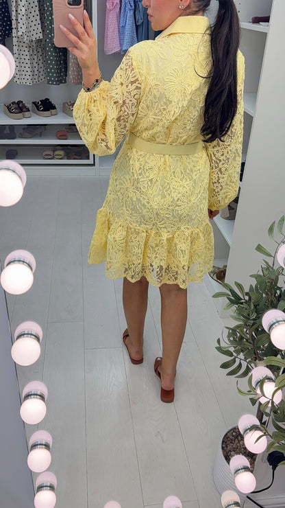 Narcisa Embroidered Lace Belted Smock Dress