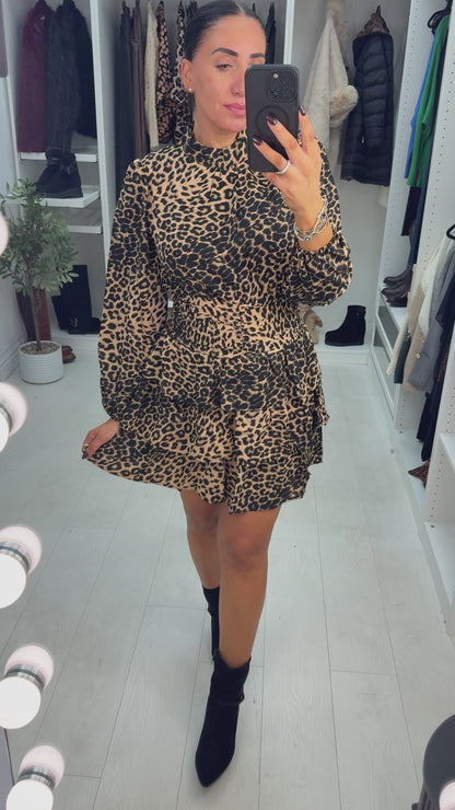 Tanisha Cheetah Print Shirred Waist Mini Dress