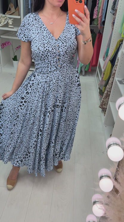 Marya Cheetah Ruched Waist Maxi Dress