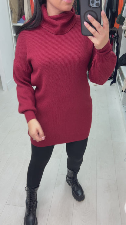 Emolia Soft Knit Roll Neck Jumper