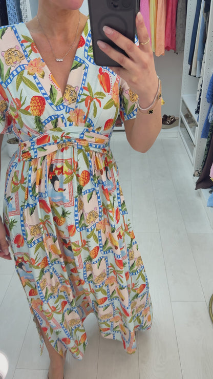 Alica Abstract Print V Neck Floaty Maxi Dress
