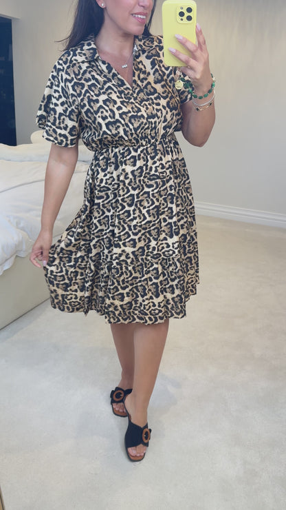 Joline Leopard Print V Neck Midi Dress