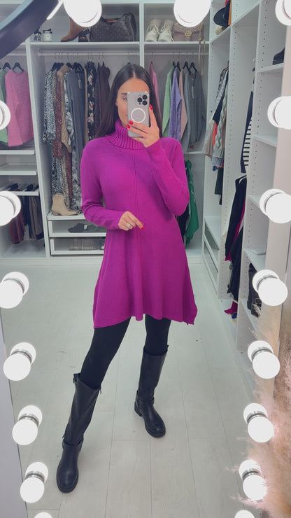 Shane Roll Neck Curved Hem Tunic