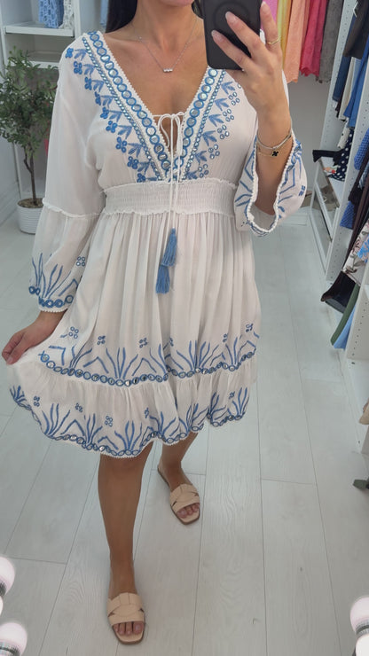 Quinta Embellished V Neck Shirred Waist Midi Dress