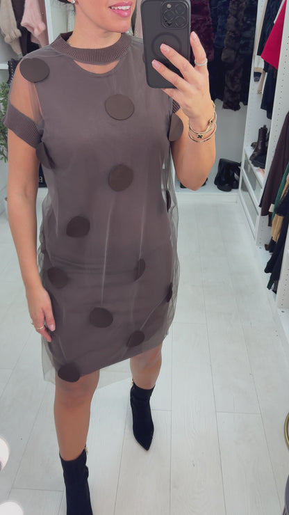 Cammie Polka Dot Mesh Overlay Jumper Dress