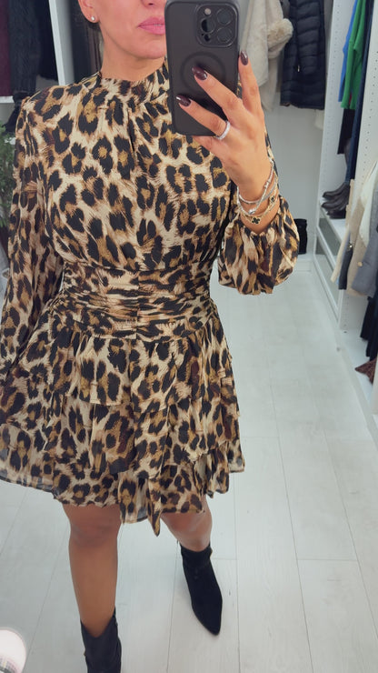 Kamie Leopard Print Shirred Waist Mini Dress