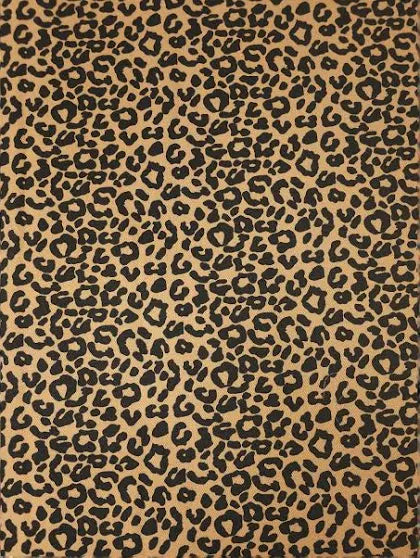 Gineta Leopard Print Button Front Magic Dress