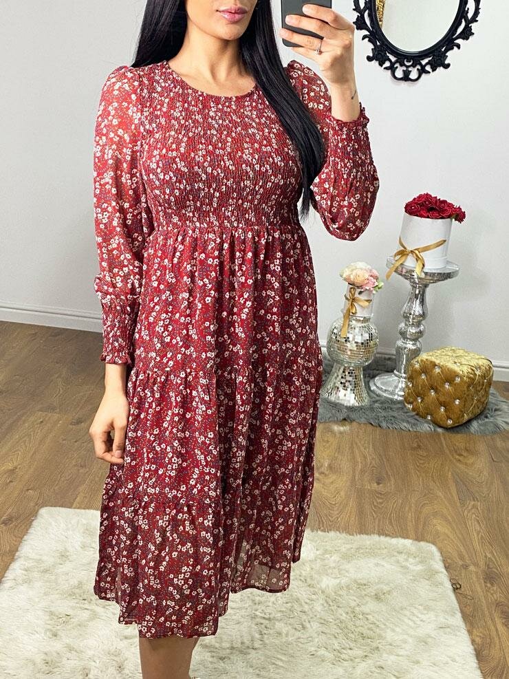 Brunella Burgundy Rouched Elasticated Detailed Paisley Dress