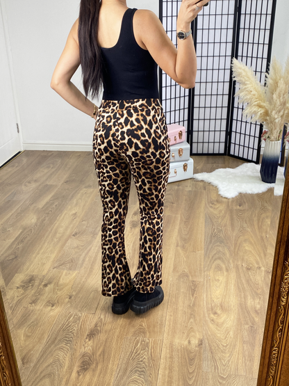 Rossa Leopard Print Bootleg Stretch Trouser